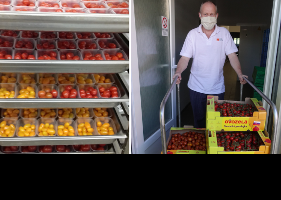 Pestovatelia zeleniny darovali nemocnici paradajky pre 400 pacientov