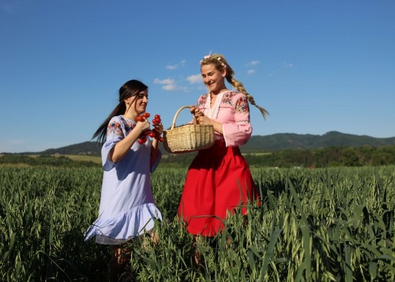 Slovenskí farmári chcú zmeniť paradajkový trh