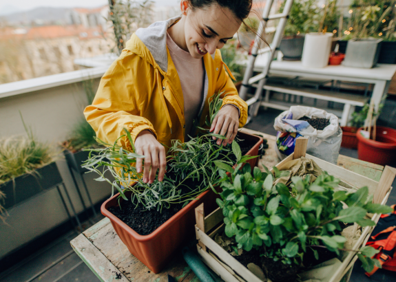 Akú zeleninu a ovocie pestovať na balkóne alebo terase?