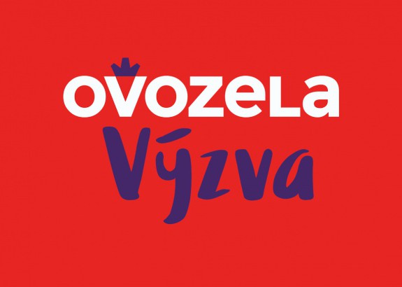 Výzva: Zhotovenie novej studne a vodovodu pri vodojeme Salemix s.r.o.